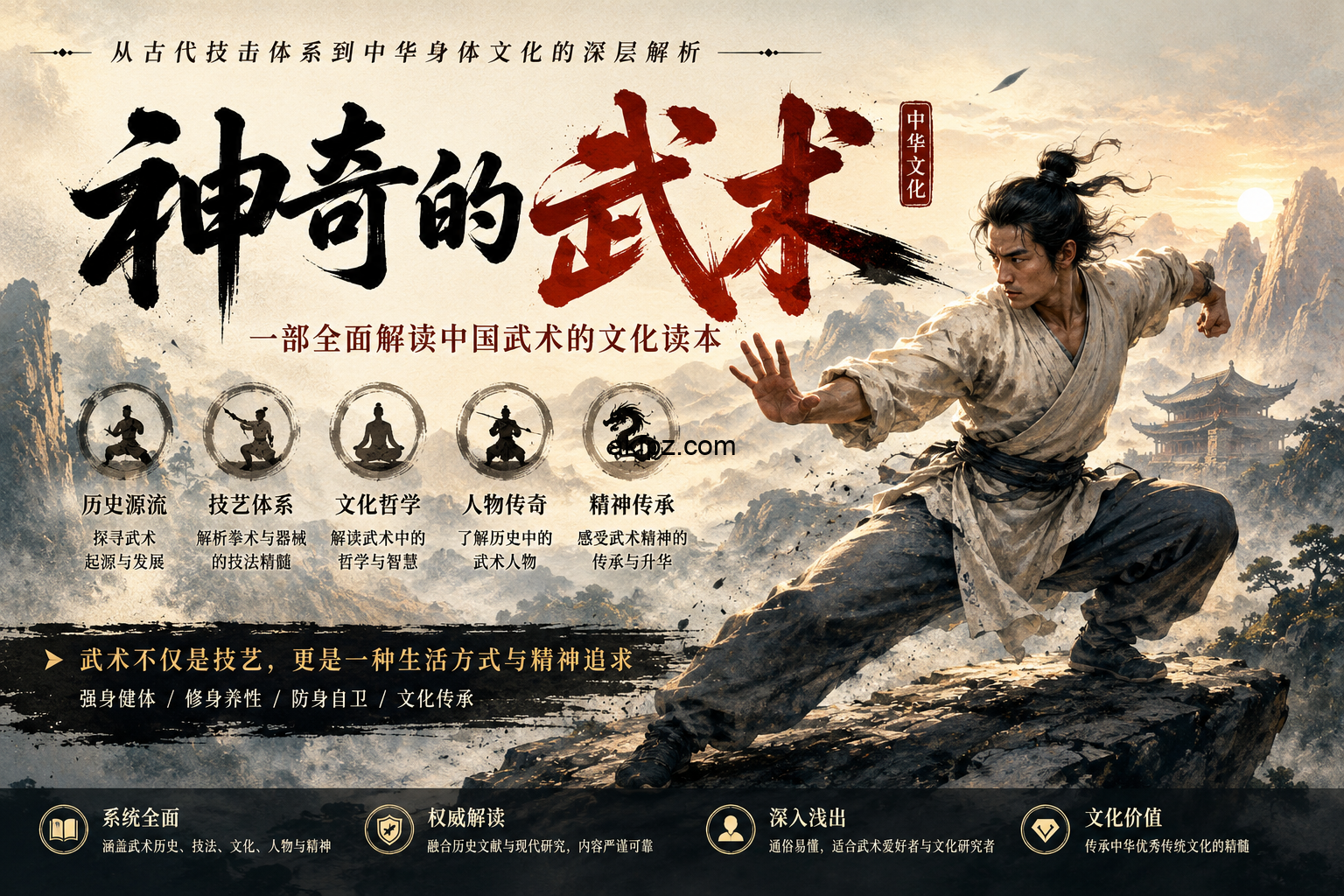 神奇的武术